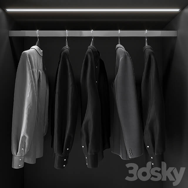 Modern Glass Door Wardrobe