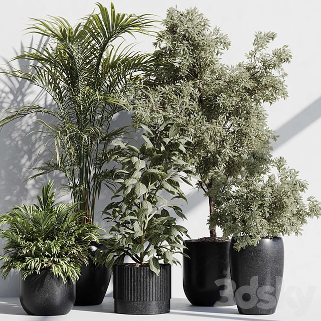 indoor plant set 85