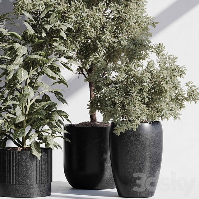 indoor plant set 85