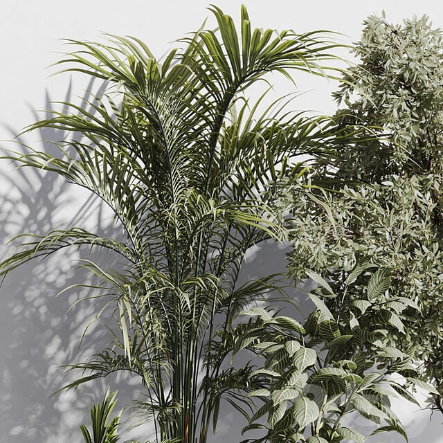 indoor plant set 85