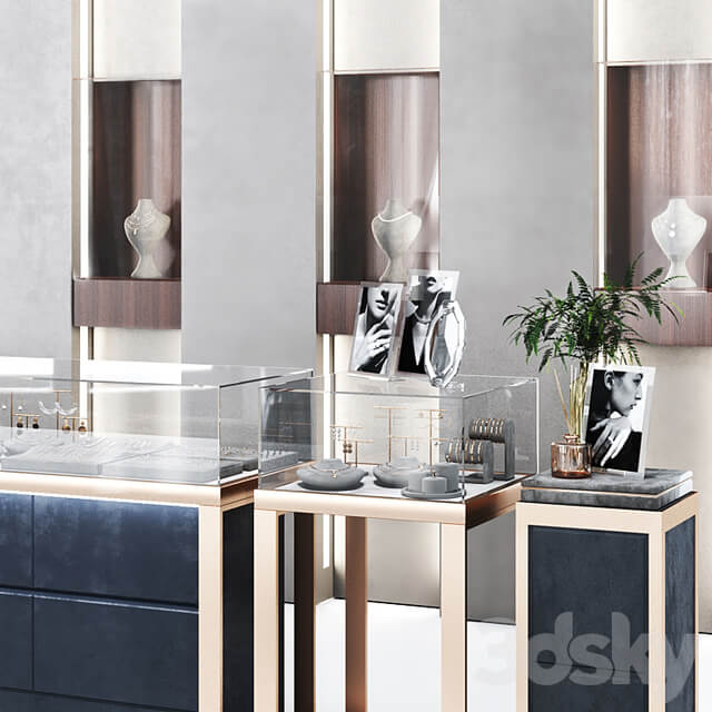 jewelry store showcase