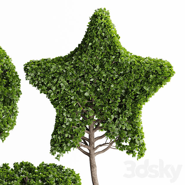 Topiary Trees 001