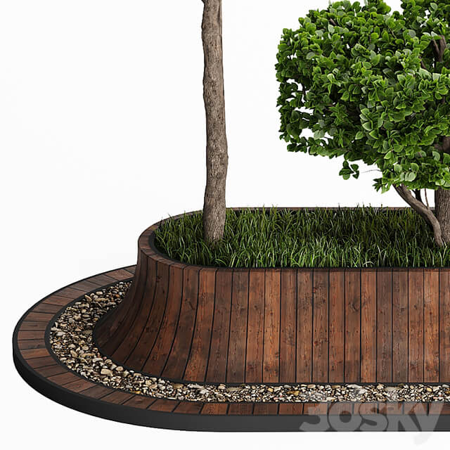 Topiary Trees 001