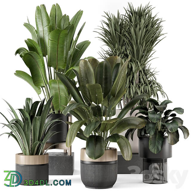 Indoor Plants in Ferm Living Bau Pot Large Set 1947