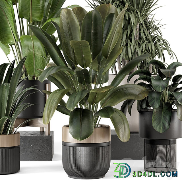 Indoor Plants in Ferm Living Bau Pot Large Set 1947