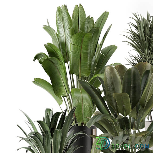 Indoor Plants in Ferm Living Bau Pot Large Set 1947