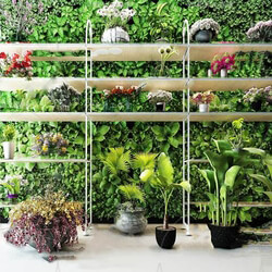 Indoor MaGTowYK 