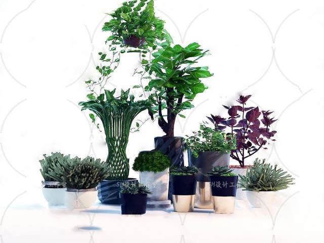 Indoor fEAQ5iPk