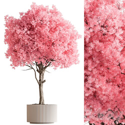Indoor Plant 657 Pink Tree 