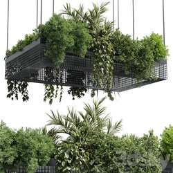 hanging plants indoor plant set 447 Rectangle pendant pot vray 
