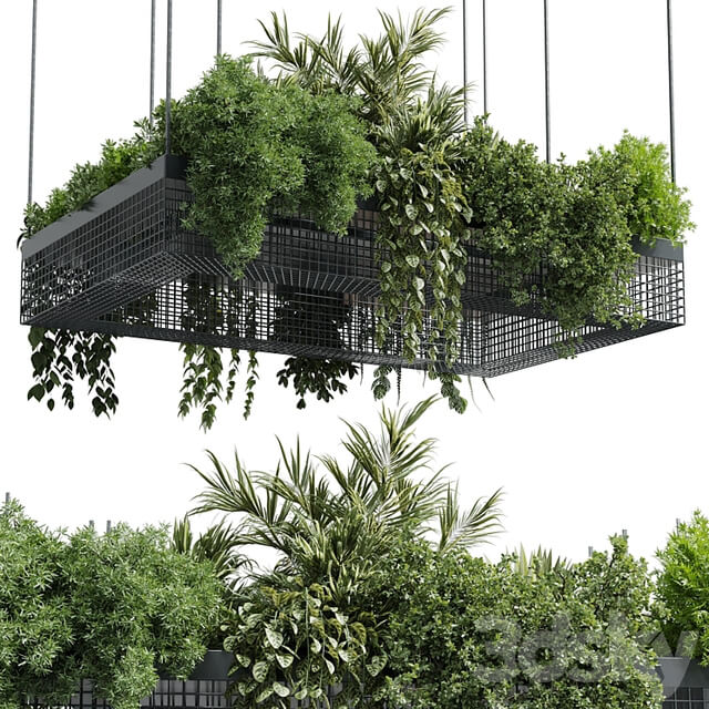 hanging plants indoor plant set 447 Rectangle pendant pot vray