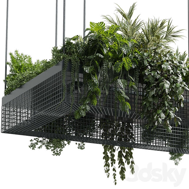 hanging plants indoor plant set 447 Rectangle pendant pot vray