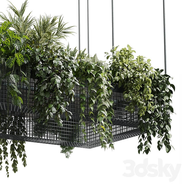 hanging plants indoor plant set 447 Rectangle pendant pot vray