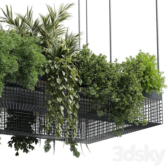 hanging plants indoor plant set 447 Rectangle pendant pot vray