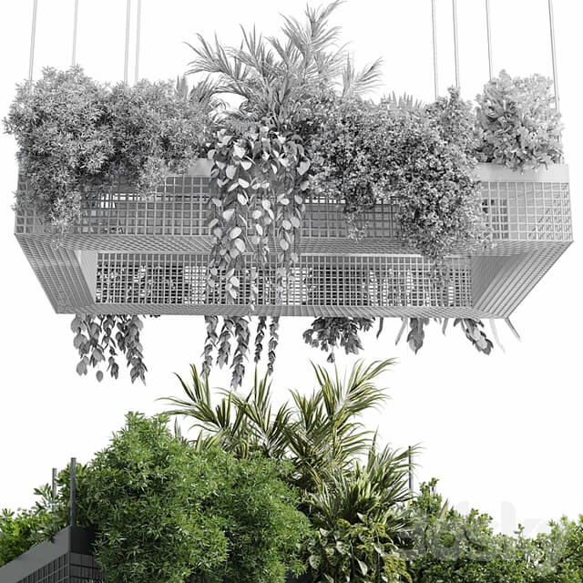 hanging plants indoor plant set 447 Rectangle pendant pot vray
