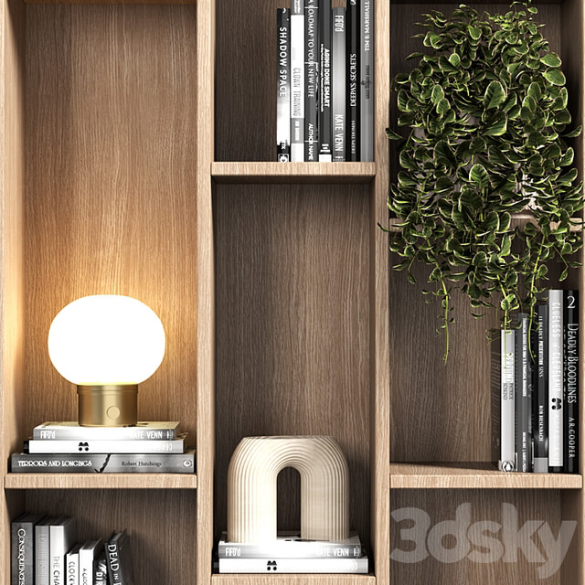 Cabinet with shelves 088