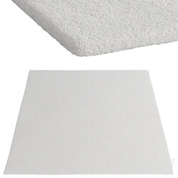 Carpet 001 
