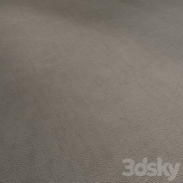Carpet | Carpeting (Seamless) | 07