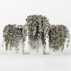 Black amp White Ombre Cylinder Vase 3D Models 