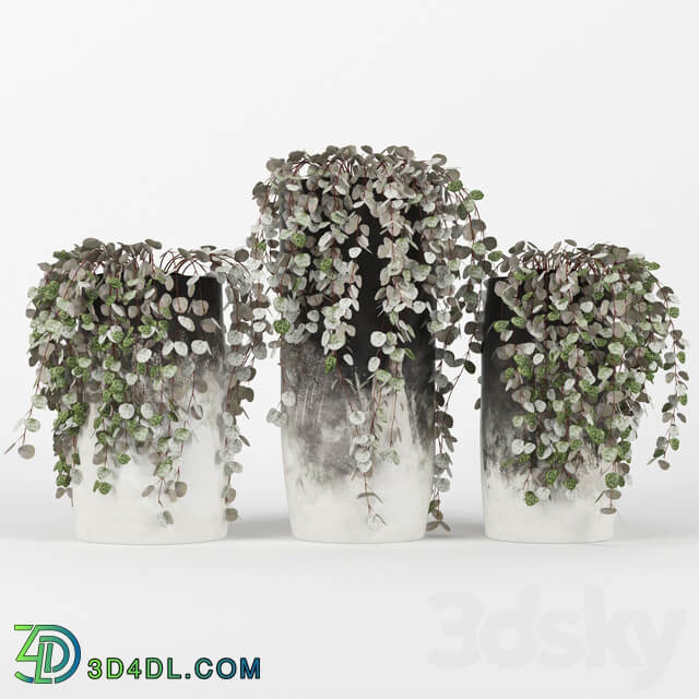 Black amp White Ombre Cylinder Vase 3D Models