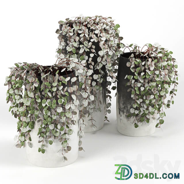 Black amp White Ombre Cylinder Vase 3D Models