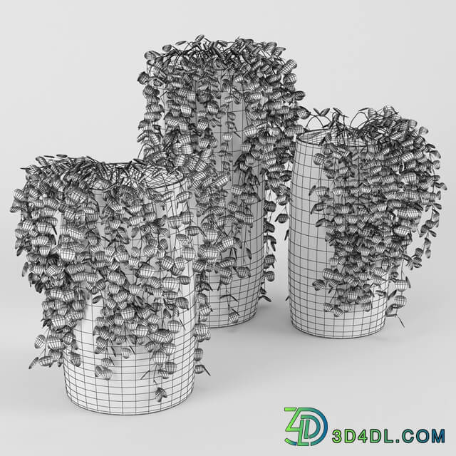 Black amp White Ombre Cylinder Vase 3D Models