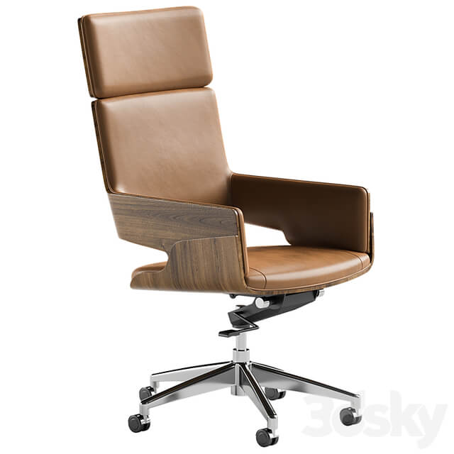 Contemporary Executive Chair