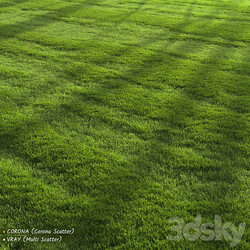 Garden Lawn 