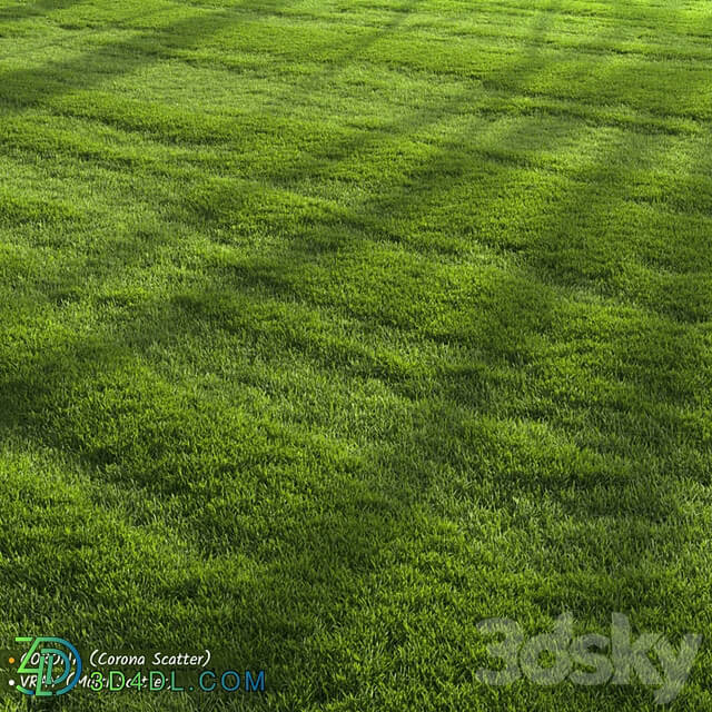 Garden Lawn