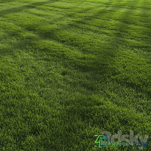 Garden Lawn