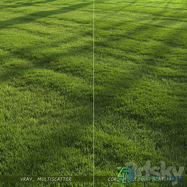Garden Lawn