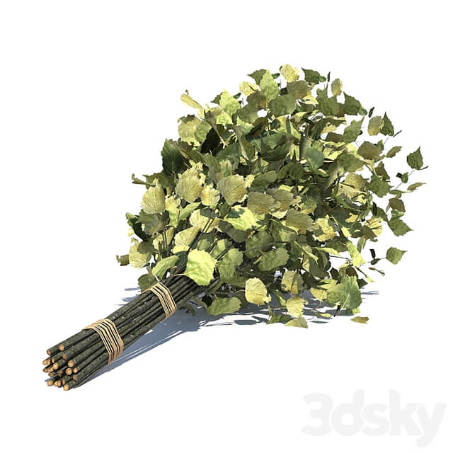 Birch broom for a bath or sauna