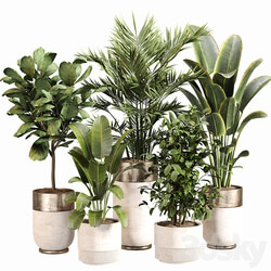 Indoor Plant Set 052 