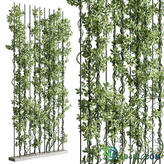 Vertical Garden Partiton Set 111