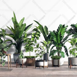 Indoor pY4BpUv7 