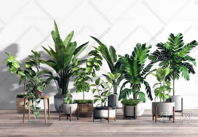 Indoor pY4BpUv7