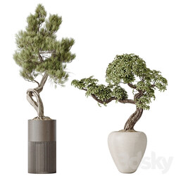 Indoor plant set 23 
