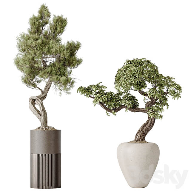 Indoor plant set 23