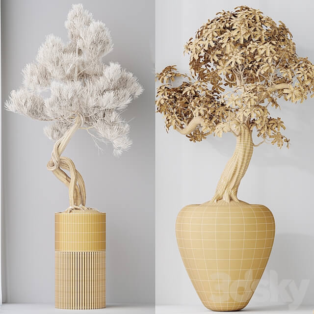 Indoor plant set 23
