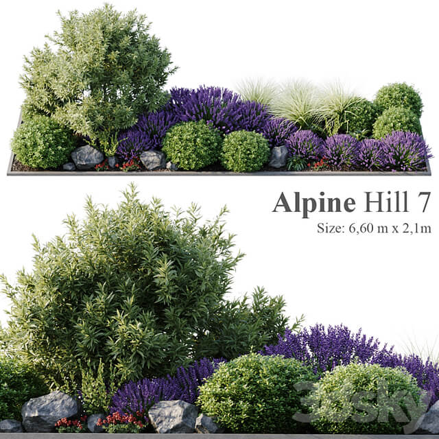 Alpine Hill 7
