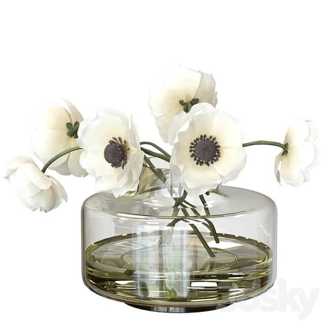 Bouquet of anemones