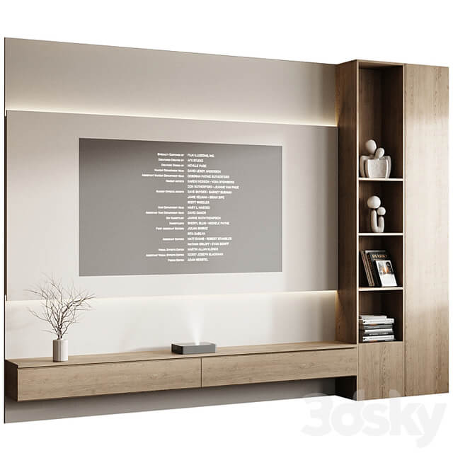 TV Set and Projector 2