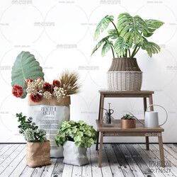 Indoor UtyyAMj3 