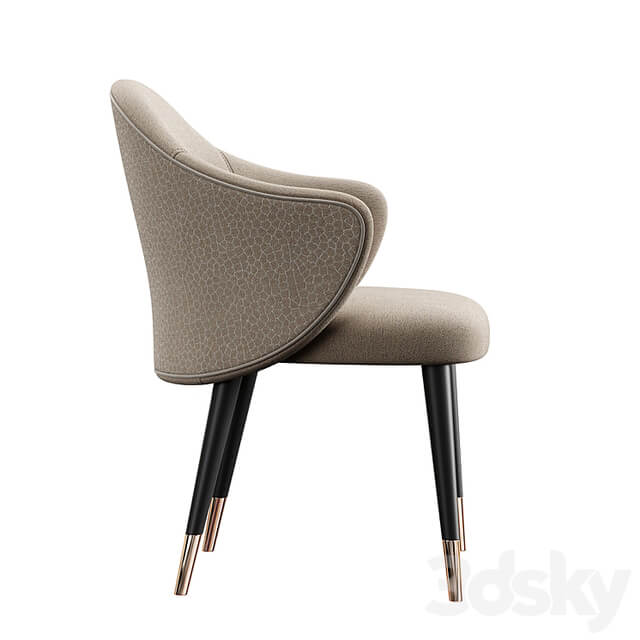 Chair Anne Konyshev
