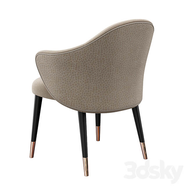 Chair Anne Konyshev