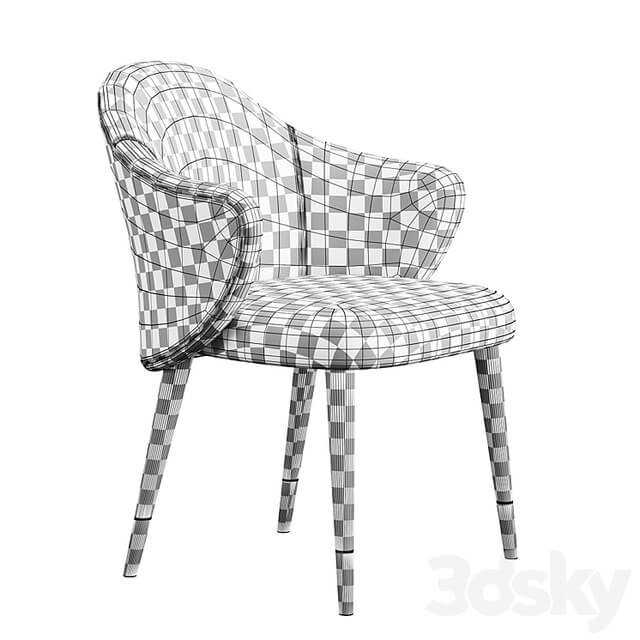 Chair Anne Konyshev