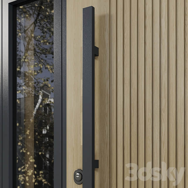 Entrance door with transoms to cottage 03