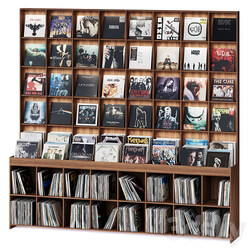 Rack with vinyl records for home or store 