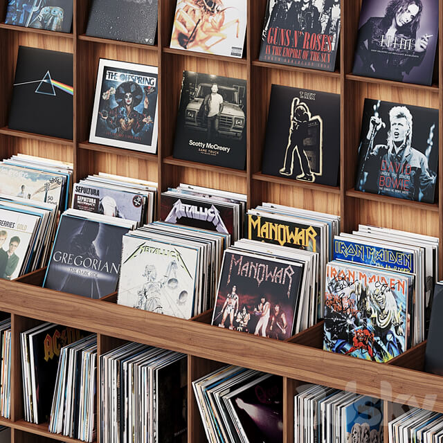 Rack with vinyl records for home or store