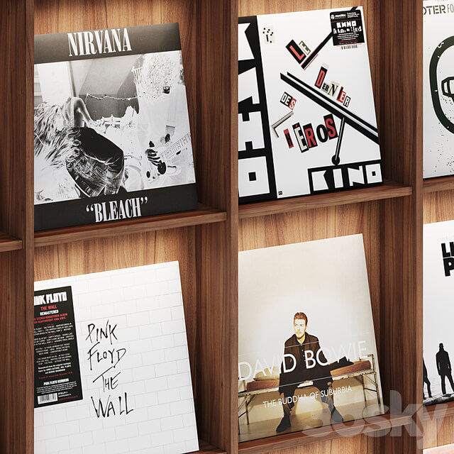 Rack with vinyl records for home or store